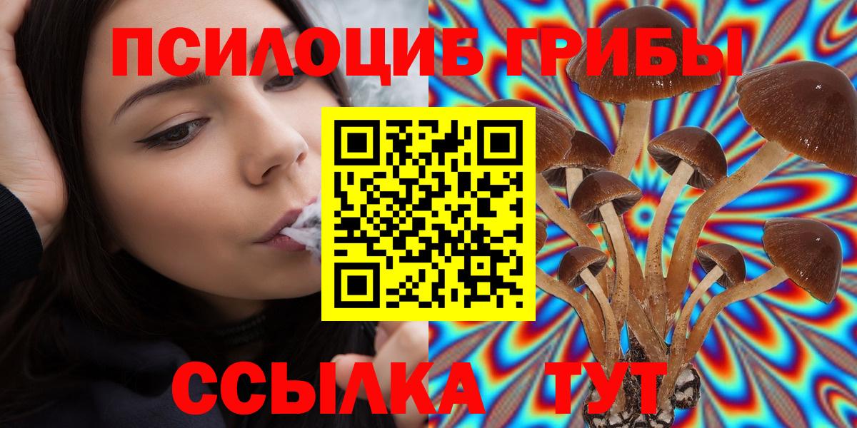 Псилоцибиновые грибы прущие грибы  Вход с VPN  Псилоцибиновые грибы Psilocybe  Барнаул 